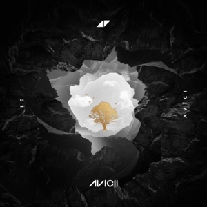 AVICII FEAT RITA ORA